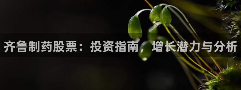 usdt九游会老哥俱乐部：齐鲁制药股票：投资指南，增长潜力与分析