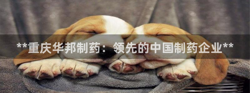 九游会老哥必备的交流社区九：**重庆华邦制药：领先的中国制药企业**