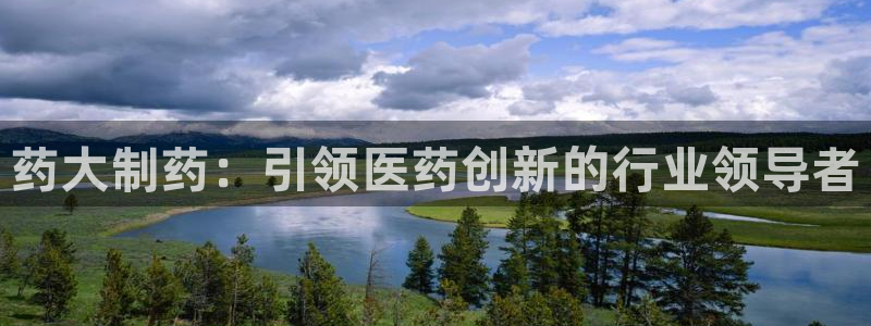 九游会老哥：药大制药：引领医药创新的行业领导者