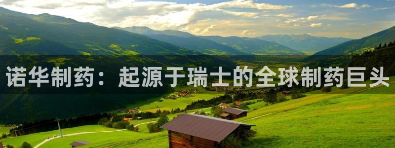 九游会老哥必备的交流社区九：诺华制药：起源于瑞士的全球制药巨头