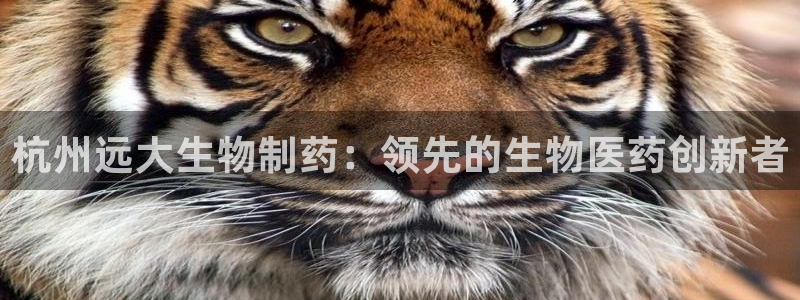 九游会老哥：杭州远大生物制药：领先的生物医药创新者