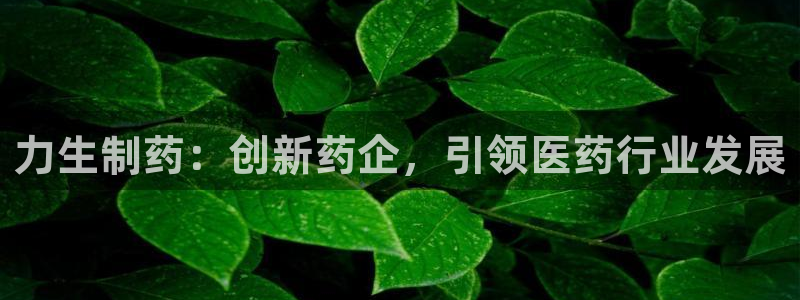 九游会老哥俱乐部官方网站：力生制药：创新药企，引领医药行业发展
