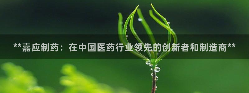 老哥俱乐部是干什么的：**嘉应制药：在中国医药行业领先的创新者和制造商**