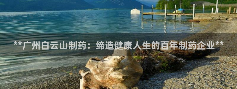 9游会老哥：**广州白云山制药：缔造健康人生的百年制药企业**