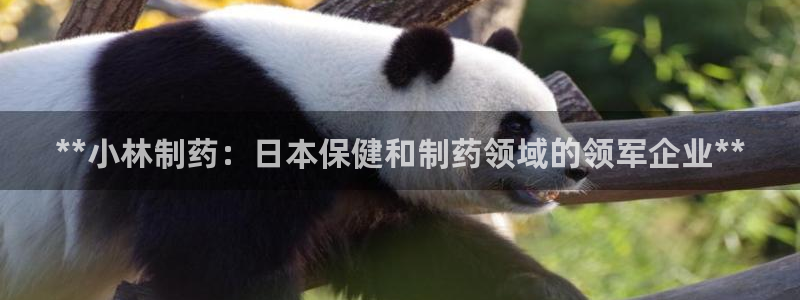老哥吧九游会：**小林制药：日本保健和制药领域的领军企业**