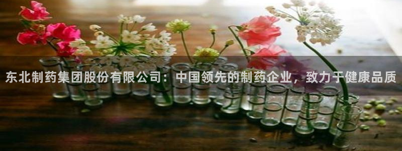 九游会老哥俱乐部论坛版：东北制药集团股份有限公司：中国领先的制药企业，致力于健康品质