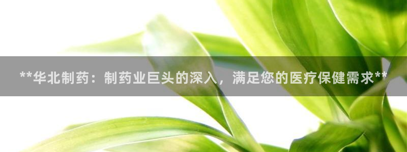 九游会老哥俱乐部官网首页：**华北制药：制药业巨头的深入，满足您的医疗保健需求**
