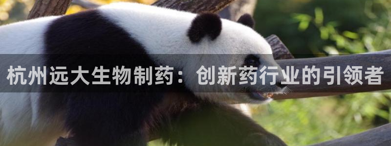 老哥吧九游会：杭州远大生物制药：创新药行业的引领者