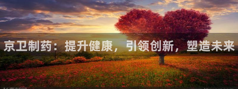 九游老哥俱乐部官网登录不了：京卫制药：提升健康，引领创新，塑造未来