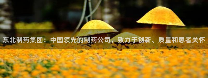 九游会老哥俱乐部：东北制药集团：中国领先的制药公司，致力于创新、质量和患者关怀
