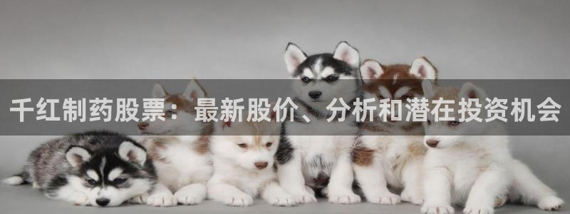 九游老哥俱乐部登录：千红制药股票：最新股价、分析和潜在投资机会