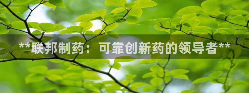 九游会老哥俱乐部官网首页论坛：**联邦制药：可靠创新药的领导者**