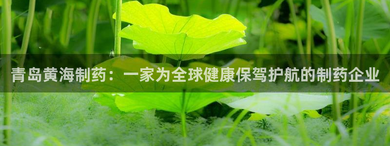 九游会老哥：青岛黄海制药：一家为全球健康保驾护航的制药企业