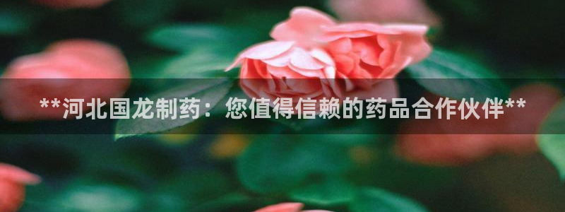 j9九游会老哥俱乐部交流区：**河北国龙制药：您值得信赖的药品合作伙伴**