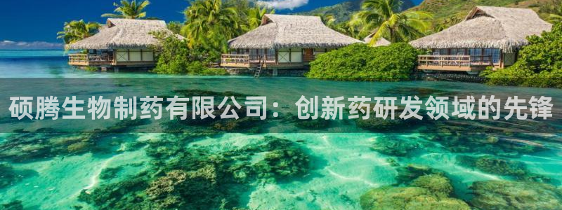 九游老哥俱乐部登录：硕腾生物制药有限公司：创新药研发领域的先锋