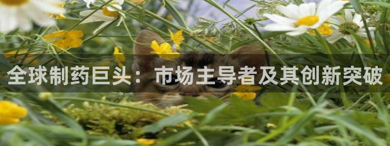 9游会老哥：全球制药巨头：市场主导者及其创新突破