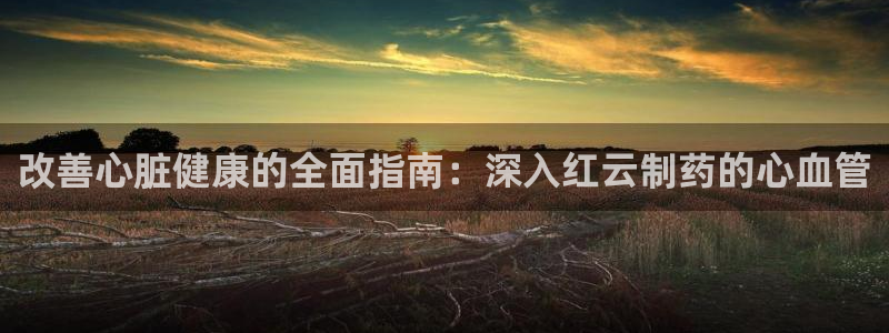 usdt九游会老哥俱乐部：改善心脏健康的全面指南：深入红云制药的心血管