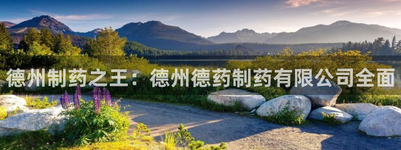 九游老哥俱乐部官网登录入口：德州制药之王：德州德药制药有限公司全面