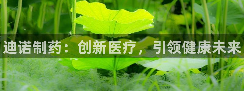 9游会老哥：迪诺制药：创新医疗，引领健康未来