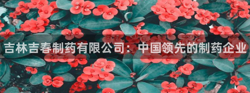 九游老哥俱乐部官网登录不了：吉林吉春制药有限公司：中国领先的制药企业