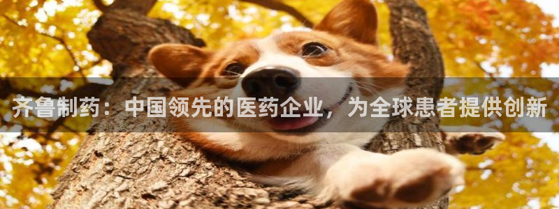 九游会老哥俱乐部论坛版：齐鲁制药：中国领先的医药企业，为全球患者提供创新