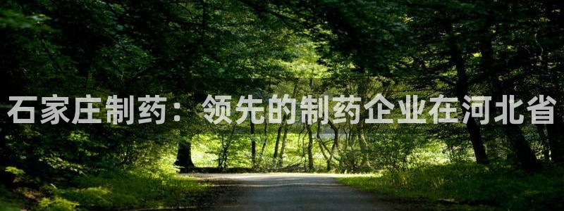j9九游会老哥俱乐部交流区：石家庄制药：领先的制药企业在河北省