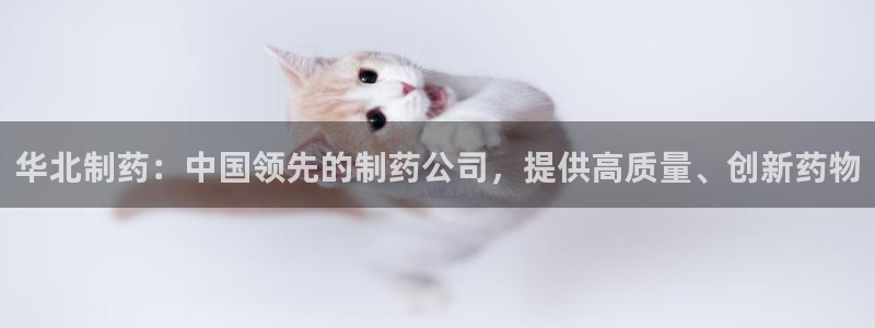 九游会老哥必备的交流社区九：华北制药：中国领先的制药公司，提供高质量、创新药物