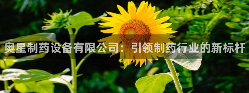 ag九游会老哥：奥星制药设备有限公司：引领制药行业的新标杆