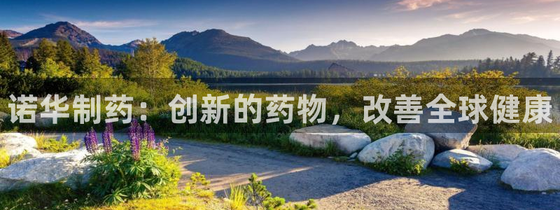 九游老哥俱乐部登录：诺华制药：创新的药物，改善全球健康