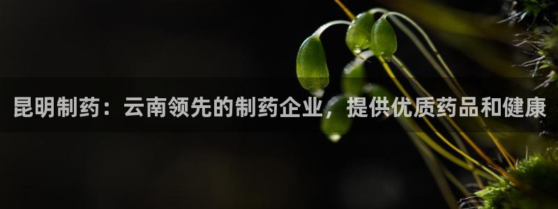 九游会老哥必备的交流社区：昆明制药：云南领先的制药企业，提供优质药品和健康