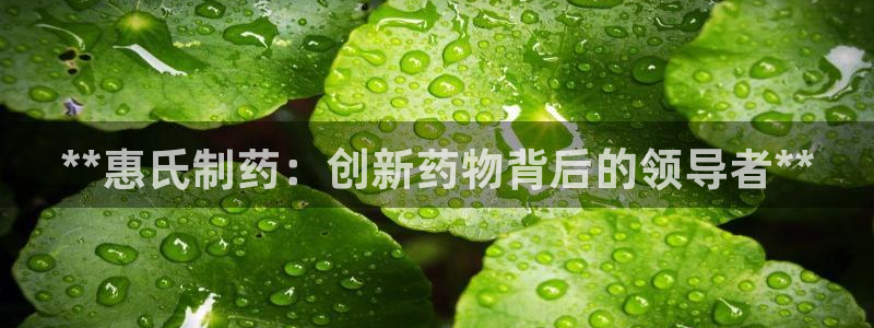 九游会老哥必备的交流社区九：**惠氏制药：创新药物背后的领导者**