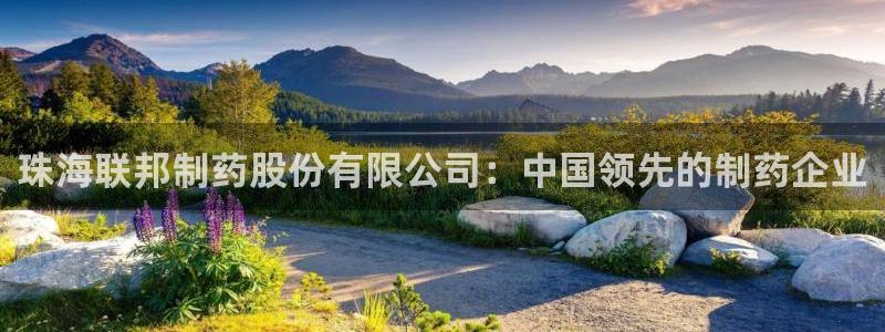 九游会老哥俱乐部交流社区：珠海联邦制药股份有限公司：中国领先的制药企业