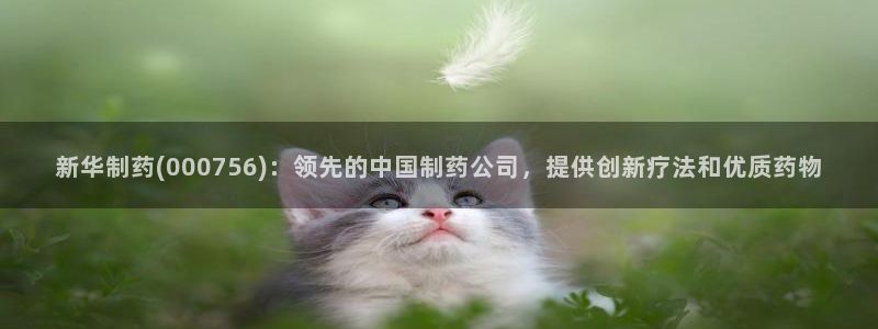 九游老哥俱乐部登录：新华制药(000756)：领先的中国制药公司，提供创新疗法和优质药物