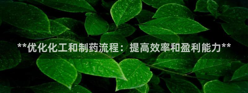 九游会老哥必备的交流社区九：**优化化工和制药流程：提高效率和盈利能力**