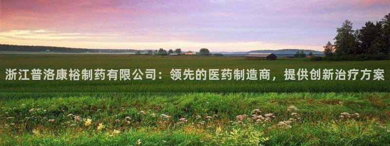 九游会老哥俱乐部官方网站：浙江普洛康裕制药有限公司：领先的医药制造商，提供创新治疗方案
