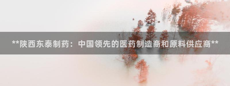 ag九游会老哥俱乐部：**陕西东泰制药：中国领先的医药制造商和原料供应商**