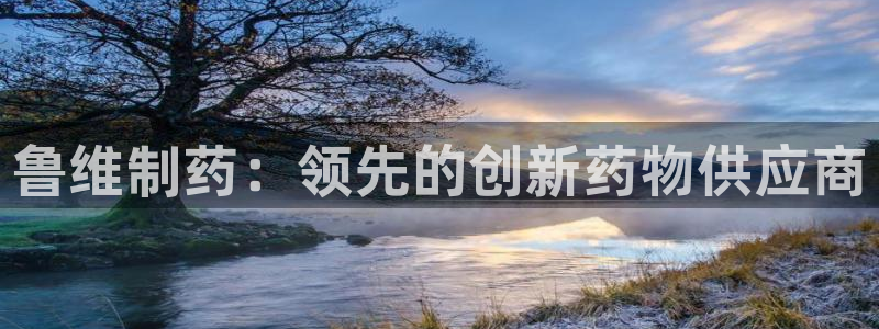 九游老哥俱乐部登录：鲁维制药：领先的创新药物供应商