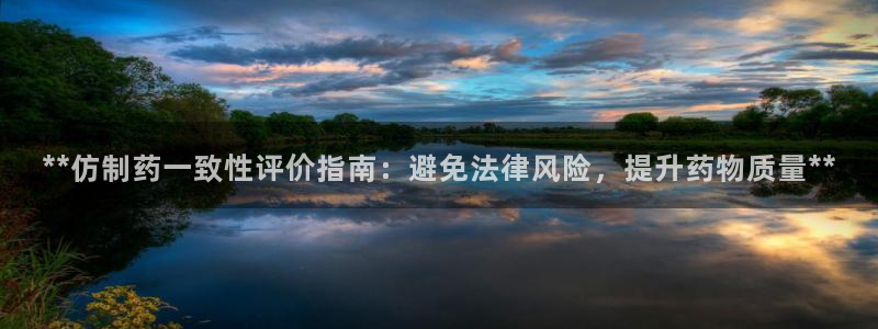 usdt九游会老哥俱乐部：**仿制药一致性评价指南：避免法律风险，提升药物质量**