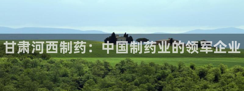 九游会老哥必备的交流社区九：甘肃河西制药：中国制药业的领军企业