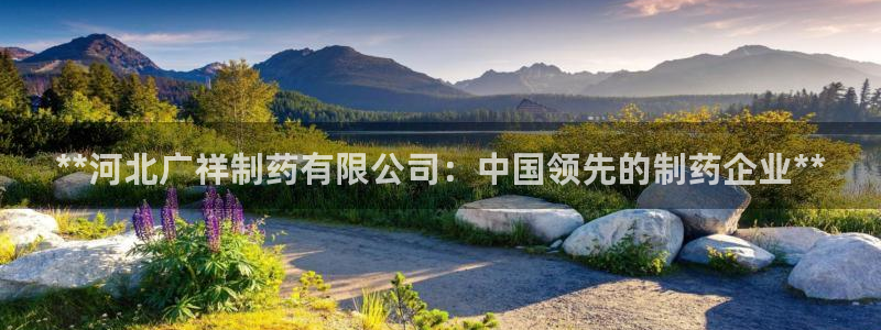 九游会老哥俱乐部官网首页：**河北广祥制药有限公司：中国领先的制药企业**