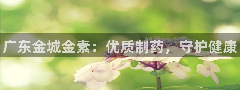 9游会老哥：广东金城金素：优质制药，守护健康