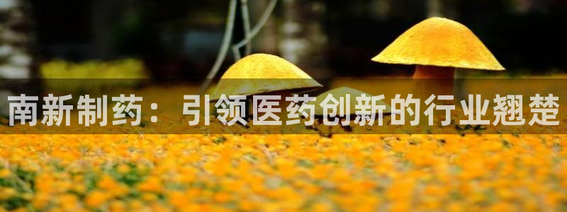 九游会老哥俱乐部官网首页