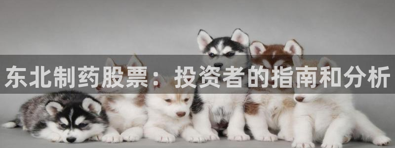 九游会老哥俱乐部官网：东北制药股票：投资者的指南和分析