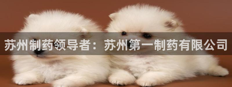 九游老哥俱乐部官网登录网址：苏州制药领导者：苏州第一制药有限公司