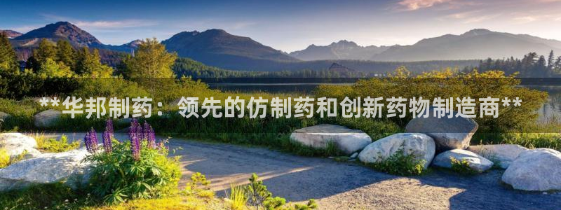usdt九游会老哥俱乐部：**华邦制药：领先的仿制药和创新药物制造商**