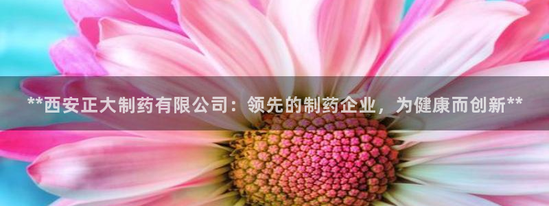老哥俱乐部是干什么的：**西安正大制药有限公司：领先的制药企业，为健康而创新**