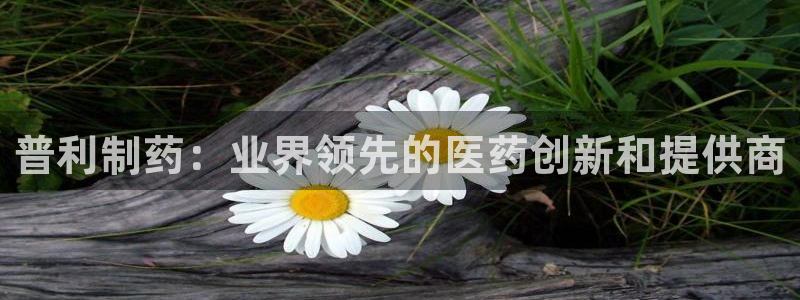 ag九游会老哥：普利制药：业界领先的医药创新和提供商