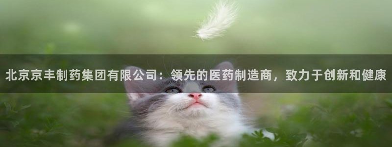 老哥俱乐部是干什么的啊：北京京丰制药集团有限公司：领先的医药制造商，致力于创新和健康