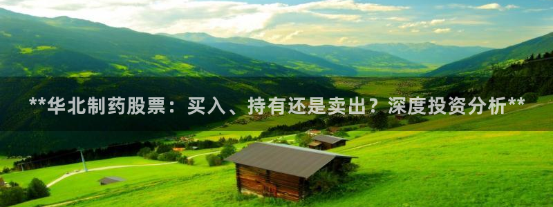 九游会老哥俱乐部：**华北制药股票：买入、持有还是卖出？深度投资分析**