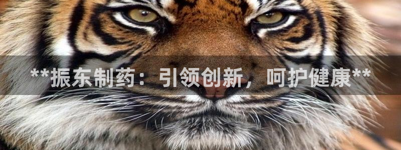 九游老哥俱乐部官网登录不了：**振东制药：引领创新，呵护健康**